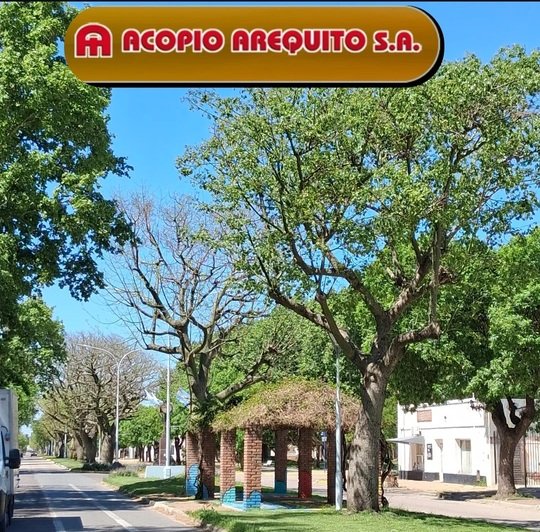 Imagen Noticia