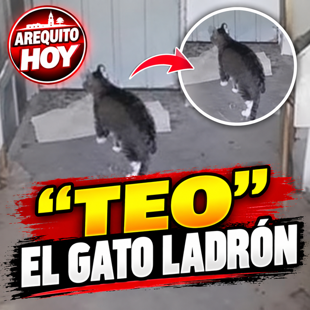 Imagen Noticia